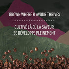 Capsules K-Cup de café biologique McCafé  torréfaction foncée - paquet de 24-8