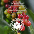 Capsules K-Cup de café biologique McCafé  torréfaction foncée - paquet de 24-9