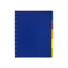 Cambridge - Intercalaires Disc, Grand - 11 po H x 8.5 po l-Ensemble de 5 séparateurs en poly de couleurs assorties