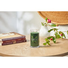 Yankee Candle - Balsam & Cedar Signature Bougie pilier moyenne - 404 g-Mèche en coton et mélange de cire de soja de qualité supérieure