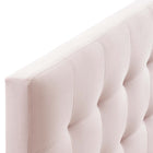 Modway - Lily Biscuit Touffé Performance Velvet Tête de lit complète, Rose-Rembourrage en mousse dense