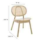 Modway - Malina Fauteuil d’appoint de salle à manger - Gris-CHAISE EN BOIS D’ORME – Cette chaise de salle à manger est réalisée durablement en bois d’orme massif, offrant un magnifique grain de bois pour créer une esthétique organique appréciée. Inclut des calottes de pied non marquées
