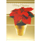 Rosedale - Cartes de souhaits Noël / Enveloppes - 5-1/2 po x 8 po - Fleur Rouge - Paquet de 12-Cartes de souhaits qualité boutique