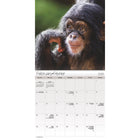 DateWorks - Mini Calendrier Mural 16 Mois de 2025 Animaux Bébés - 7 po x 7 po - Bilingue-13 images de haute qualité imprimées sur du papier Premium.