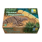 Yellow Door - YUS1229 Fouillez et Découvrez - Plésiosaure & Stégosaure-Plongez dans le monde fascinant de la préhistoire avec cet ensemble de fossiles passionnant mettant en vedette le pliosaure des profondeurs marines et le redoutable stégosaure.