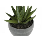 Monarch Specialties - Plante Artificielle - 6 po H - Succulent - Mis En Pot - Ensemble De 3 - Plantes Vertes - Pots Ciment Gris-Aucun assemblage n'est requis et une garantie limitée de 5 ans contre tout défaut est offerte pour votre satisfaction et votre plaisir
