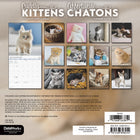 DateWorks - Mini Calendrier Mural 16 Mois des Chatons Câlins de 2025 - 7 po x 7 po - Bilingue-Comprend des pages mensuelles de janvier à décembre 2025, ainsi que les 4 derniers mois de 2024.