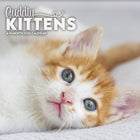 DateWorks - 2026 Mini Calendrier Mural 16 Mois - 7 po x 7 po - Chatons Câlins - Anglais -7,00" x 7,00"