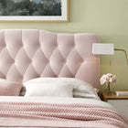 Modway - Annabel Touffe de diamant Performance Velvet Tête de lit Queen, Rose-Tissu résistant aux taches durable