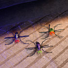 HEX Bots - Skitter Bot Araignée STEM Jouet-Jouets sensoriels pour enfants : les Skitter Bots sont le jouet sensoriel parfait pour les enfants et les animaux domestiques, avec des designs amusants lumineux et un mouvement de rampement semblable à celui d'un insecte pour les maintenir engagés
