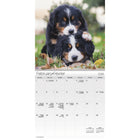 DateWorks - 2026 Mini Calendrier Mural 16 Mois - 7 po x 7 po - Chiots - Bilingue -Animaux