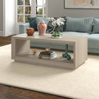 Hudson&Canal - Table basse rectangulaire Tannen 48" L - Blanc aulne-Finition en blanc aulne aspect bois