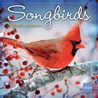 Sellers Publishing Inc. - Calendrier mural 2026 - Songbirds - Anglais-Grandes grilles pleine page de 30 cm x 30 cm (12 po x 12 po) faciles à utiliser avec petites grilles d'aperçu de mois