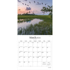 Brush Dance - 2026 Tranquillité Calendrier mural Suspendu Mensuel - 30,5 cm l x 61 cm H - Anglais-À Utiliser Tout de Suite - Calendrier de 16 mois, 12 pages de mois pleines et comprenant en prime les quatre derniers mois de l'année précédente avec une image supplémentaire