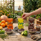 Montezuma’s - Assortiment de barres au chocolat lime et sel de mer, orange, café et éclats de cacao, 90 g chacune, paquet de 3-Comprend Sea Dog, chocolat noir à la lime et au sel de mer.