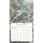 Lang - 2026 Oiseaux Chanteurs Calendrier Mural Deluxe Mensuel - 30,5 cm l x 30,5 cm H - Anglais-Œillet en laiton pour éviter que le calendrier ne se déchire