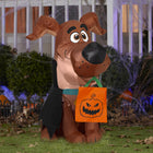GEMMY - Chiot vampire gonflable d'Halloween Scoob Puppy-Comprend des piquets et des attaches