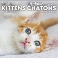 DateWorks - 2026 Mini Calendrier Mural 16 Mois - 7 po x 7 po - Chatons Câlins - Bilingue -7,00" x 7,00"
