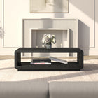 Hudson&Canal - Table basse rectangulaire Lonni de 119 cm de large, finition grain noir-Nettoyer avec un chiffon doux et sec, sans produits chimiques agressifs ni produits de nettoyage abrasifs