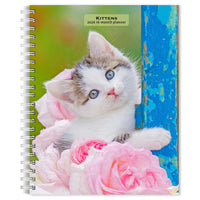 BrownTrout - Agenda 16 mois Chatons 2026-Photographie - Une cinquantaine de photographies époustouflantes en couleurs
