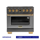 Kucht - 36 po Série KXD Cuisinière double énergie Propane - Gemstone-Cuisinez et faites cuire comme un professionnel grâce au four à convection extra-large de 5,2 pi³, doté de cinq positions de grille et d’une fenêtre de four surdimensionnée