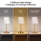 Bell and Howell - Lampe de table moderne à DEL rechargeable sans fil de 11,6 po The Aurora - Doré-5-6 heures de temps d'exécution