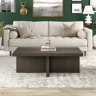 Hudson&Canal - Table basse rectangulaire Elna 44" L - Brun aulne-Caractéristiques assemblage facile