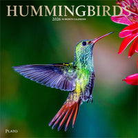 Plato - 2026 Colibris Calendrier mural Suspendu Mensuel - 30,5 cm l x 61 cm H - Anglais-Photographie - Chaque mois, découvrez de superbes photographies ou œuvres d'art en couleur