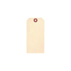 Accuform Signs - Manille Étiquettes vierges - Papier cartonné - 2-3/8" L x 4-3/4" H - paquet de 100-Construit en papier 10 points