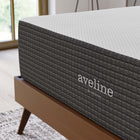 Modway - Aveline 14 po Mousse à mémoire de forme Matelas Queen-Housse amovible à fermeture éclair en tricot extensible