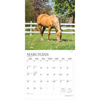 Plato - 2026 Magnifiques Chevaux Calendrier mural Suspendu Mensuel - 30,5 cm l x 61 cm H - Anglais-À Utiliser Tout de Suite - Calendrier de 16 mois, 12 pages de mois pleines et comprenant en prime les quatre derniers mois de l'année précédente avec une image supplémentaire