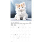 DateWorks - 2026 Mini Calendrier Mural 16 Mois - 7 po x 7 po - Chatons Câlins - Bilingue -Septembre 2025 - Décembre 2026