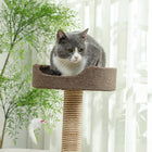 PawHut - Arbre à chat griffoir, poteau d’escalade pour chaton, mobilier pour animaux avec jouet - marron-Matériau : Panneau de particules, tissu de canapé, corde en sisal 
