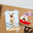 Ruban invisible avec dévidoir, 19 mm x 12,7 m, paq./4-6