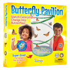 Kit de culture Butterfly Pavilion d'Insect Lore -Le Pavillon des Papillons offre aux enfants, aux étudiants et aux familles une occasion inoubliable d'observer les chenilles se transformer en chrysalides puis émerger en magnifiques papillons Painted Lady
