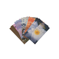 Jam Paper - Cartes de sympathie, Assortiment Sincères condoléances, Paquet de 10-Conception : Assortiment Deepest Sympathy