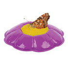 Kit de culture Butterfly Pavilion d'Insect Lore -En raison de restrictions d'expédition liées aux insectes, cet article ne peut pas être expédié à Hawaï, à Porto Rico, au Mexique et au Canada