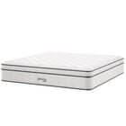 Modway - Jenna 14 po Ressorts et mousse Matelas King-Housse matelassée pour oreiller