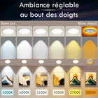 Impotek - Luminaire encastré au plafond DEL 4 po 9W 5CCT gradable avec veilleuse – Paquet de 12-Sécurité certifiée et compatibilité - Profitez de la tranquillité d’esprit avec nos certifications IC, ETL et Energy Star. Conçu pour un contact direct avec l’isolation, notre boîte de jonction protégée thermiquement garantit la sécurité et une large compatibilité avec divers types de plafonds et configurations de solives