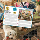 Giordano - Chiens dans le salon - 500 pièces-Dimensions complètes : 61 x 46 cm (24 po x 18 po)