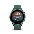 Garmin - vivoactive 6, vert jaspe métallisé avec bracelet vert jaspe-APPLICATIONS SPORTIVES INTÉGRÉES - Suivez vos déplacements avec plus de 80 applications GPS et sportives d'intérieur préchargées, notamment la marche, la course à pied, le vélo, la natation en piscine, les activités pour les utilisateurs de fauteuils roulants et bien plus encore.