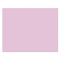 Pacon - Carton Bristol 4 plis, 22 po x 28 po, rose, paquet de 25-Tableau ferroviaire 4 couches de haute qualité, idéal pour la construction, le montage, le pochoir, les affiches ou les tableaux d’ancrage