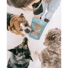 Dexypaws - Friandises pour chiens au beurre de cacahuète et aux myrtilles-Doux pour les estomacs sensibles