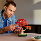 LEGO - Botanicals Le Bonsaï d’Érable Rouge Japonais, Décoration d'Arbre-Projet inspiré de la nature - L’ensemble offre un projet immersif aux amoureux de la nature ou des plantes, qui apprécieront de construire la plante LEGO et de s’émerveiller de son apparence réaliste