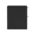 Manhattan Comfort - Table de nuit moderne Grace 28" à 2 tiroirs - Noir-Disponible en chêne naturel et noir, chêne naturel et or, noir et noir, et noir et or