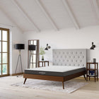 Modway - Aveline 6 po Matelas Queen-La mousse est certifiée CertiPUR-US et sans fibre de verre