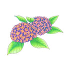 Copic - Ciao marqueurs à encre double pointe - pastels - lot de 6-rechargeable avec de l'encre Copic