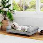 PawHut - Sofa, lit de canapé pour petits chatons et chatons d’intérieur - gris-MDF solide pour un soutien et une stabilité durables 
