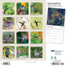 Plato - 2026 Colibris Calendrier mural Suspendu Mensuel - 30,5 cm l x 61 cm H - Anglais-Conception Durable - Le papier robuste et de haute qualité empêche le froissage et le débordement de l'encre, et la reliure durable assure la longévité tout au long de l'année