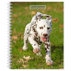 BrownTrout - Chiots, j'adore l'agenda 2026 sur 16 mois-Photographie - Une cinquantaine de photographies époustouflantes en couleurs